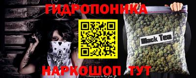 mdpv Можга