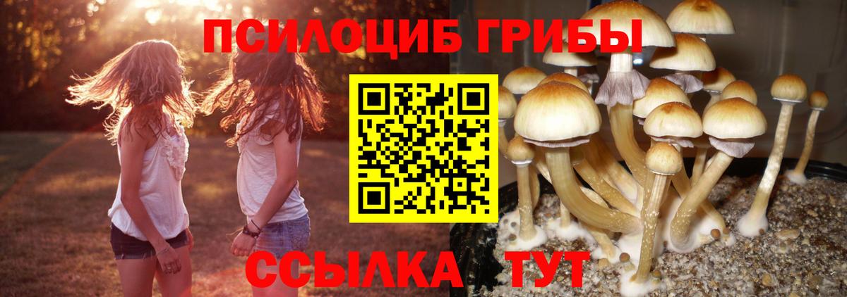 Курск  Галлюциногенные грибы Cubensis  Вход с VPN  Псилоцибиновые грибы Psilocybe 